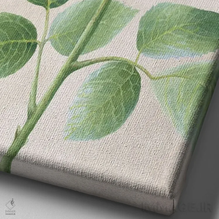 تابلو دکوراتیو پنل رزهای عاجی I اثر کلسی ویلسون - نمای نزدیک بافت بوم