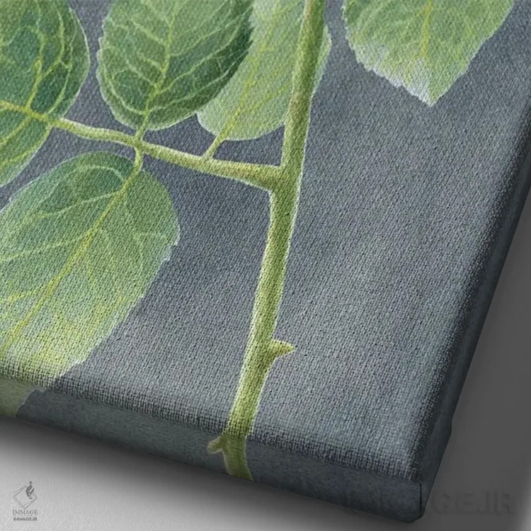 تابلو دکوراتیو رزهای عاجی روی پنل طوسی II اثر کلسی ویلسون - نمای نزدیک بافت بوم