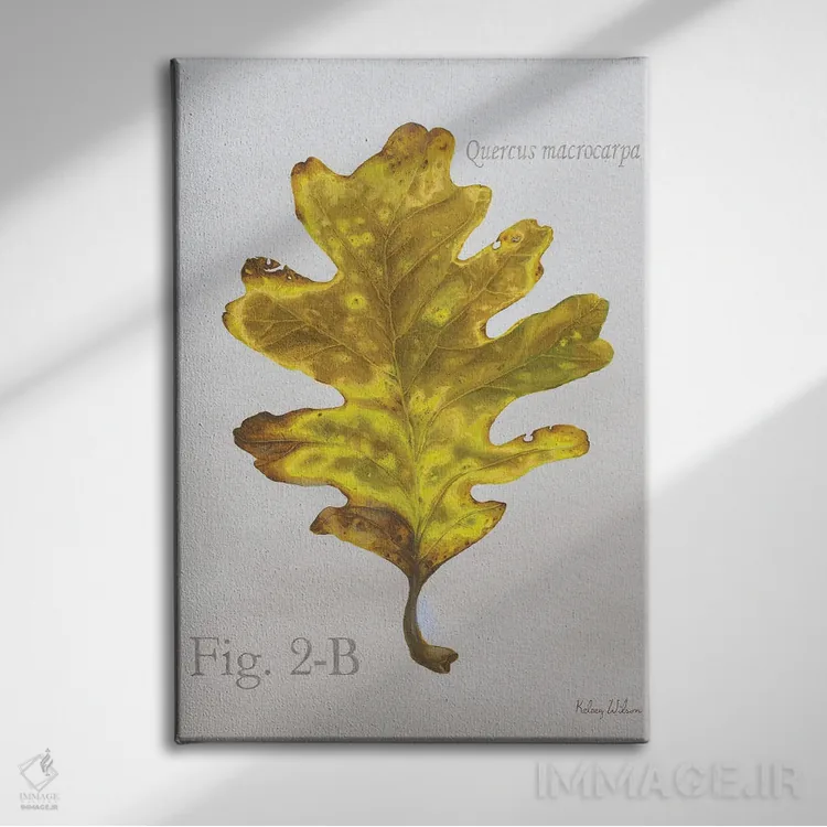 تابلو مدرن برگ های پاییزی روی طوسی ۳ - بلوط اثر کلسی ویلسون - نمای روبهرو روی دیوار