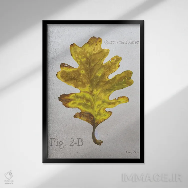 تابلو مدرن برگ های پاییزی روی طوسی ۳ - بلوط اثر کلسی ویلسون - نمای قابدار مشکی