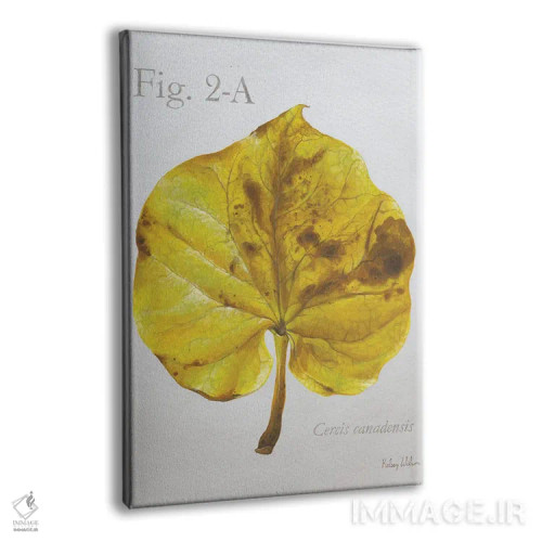 تابلو مدرن برگ های پاییزی روی طوسی ۴ - ردباد اثر کلسی ویلسون - نمای پرسپکتیو محصول