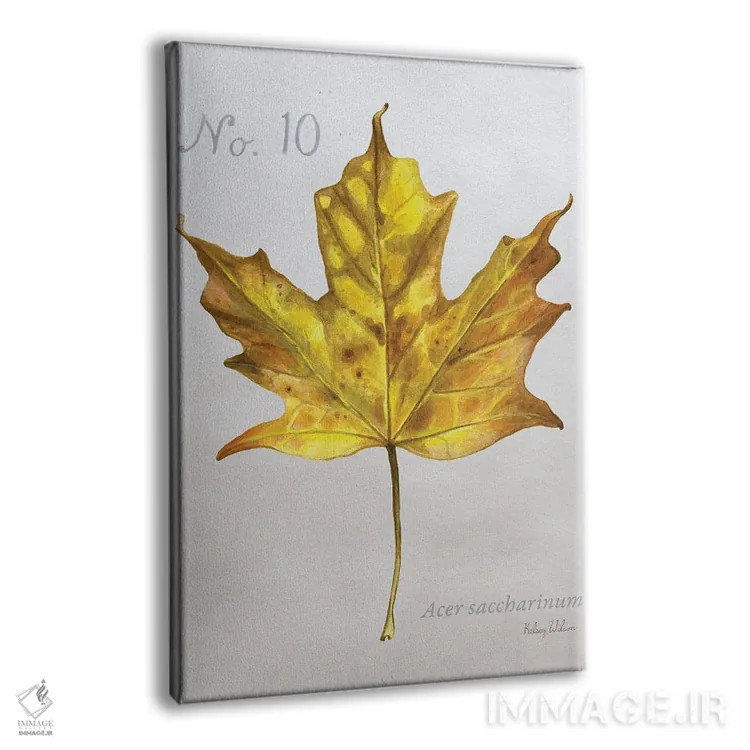 تابلو مدرن برگ های پاییزی روی طوسی ۱ - افرا اثر کلسی ویلسون - نمای پرسپکتیو محصول