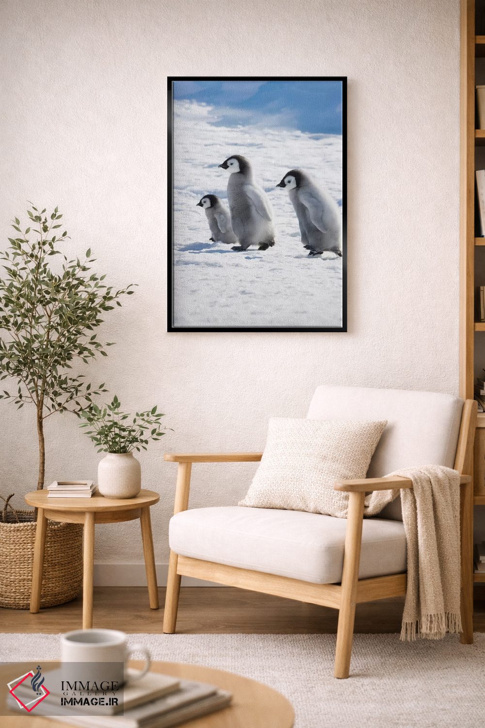 تابلو دکوراتیو Snow Hill Island, Antarctica,جوجه های پنگوئن امپراتور روی یخ، جز… اثر کرن سو - D2B