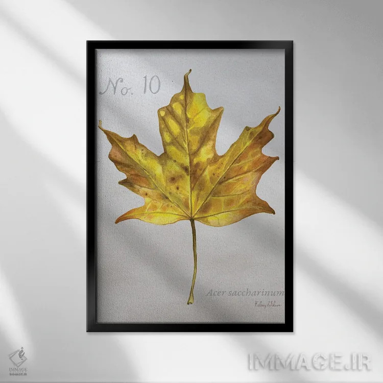 تابلو مدرن برگ های پاییزی روی طوسی ۱ - افرا اثر کلسی ویلسون - نمای قابدار مشکی