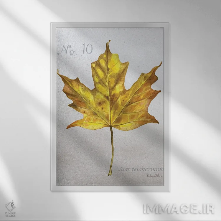 تابلو مدرن برگ های پاییزی روی طوسی ۱ - افرا اثر کلسی ویلسون - نمای قابدار سفید