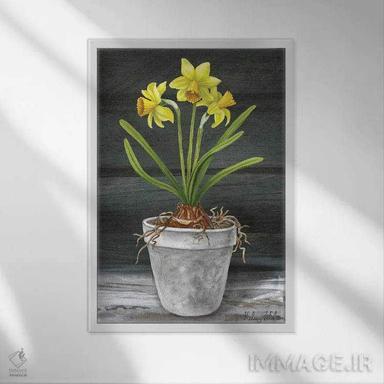 تابلو مدرن باغ روستایی ۱ - نرگس ها اثر کلسی ویلسون - نمای قابدار سفید