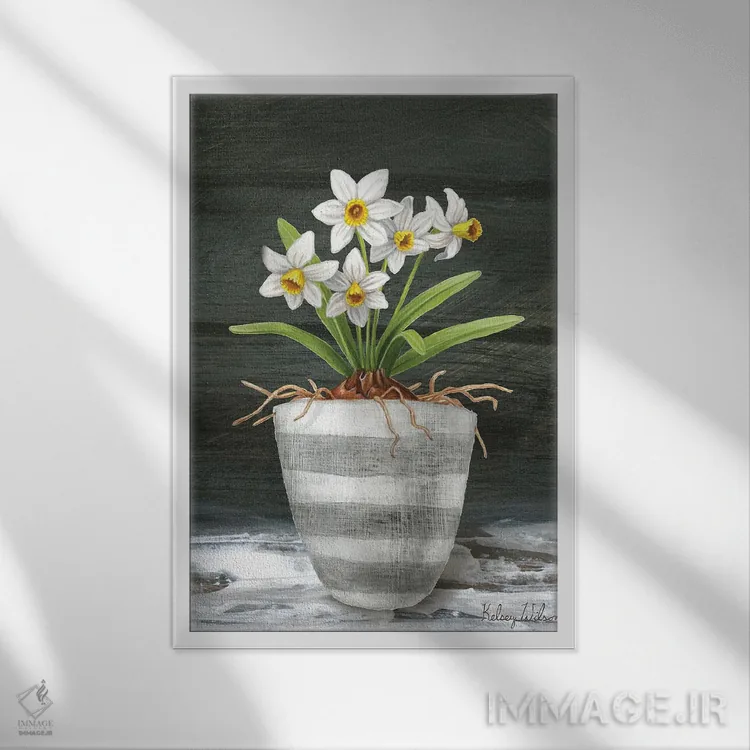 تابلو مدرن باغ روستایی ۲ - نرگس های سفید اثر کلسی ویلسون - نمای قابدار سفید