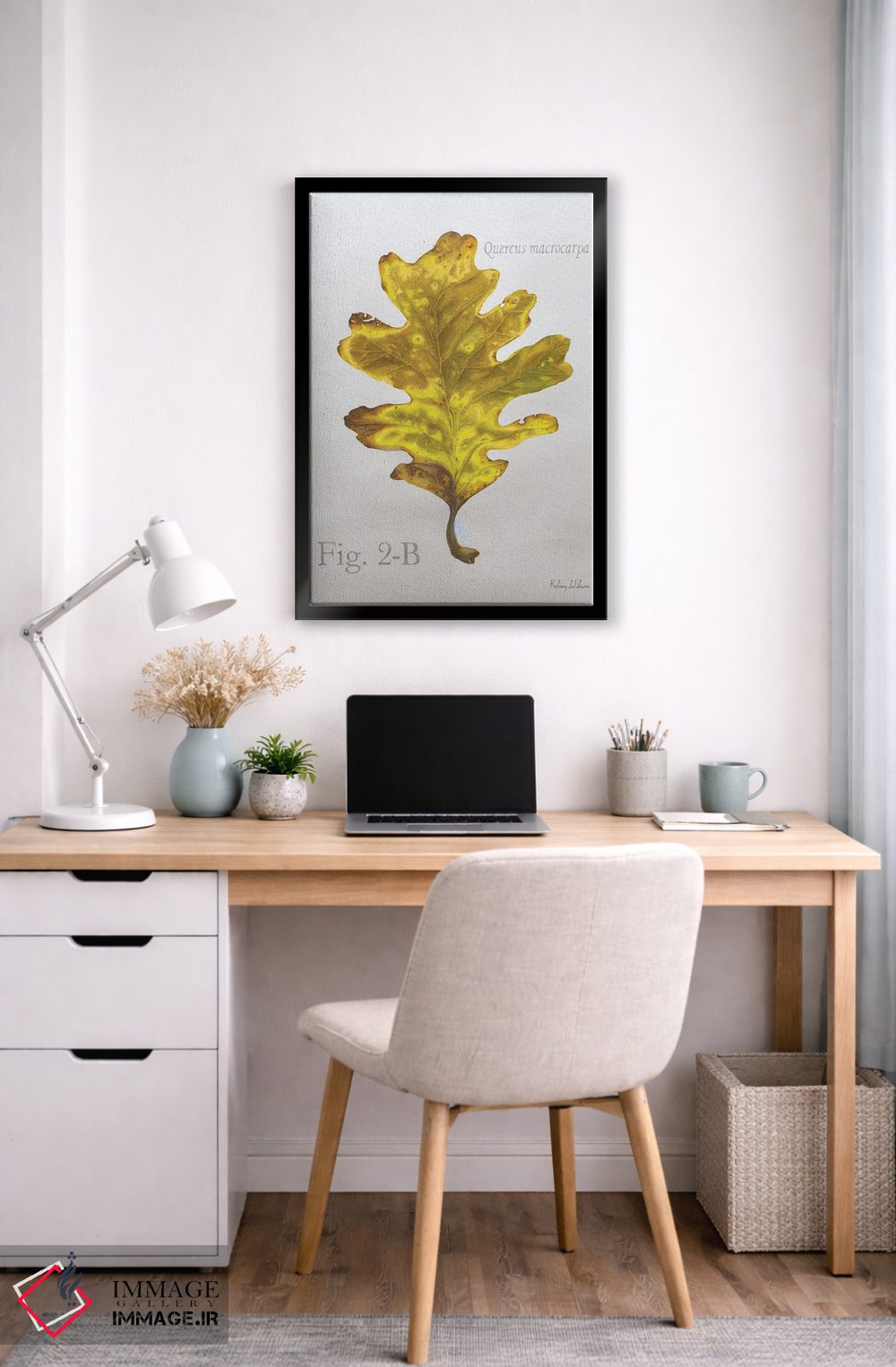 تابلو مدرن برگ های پاییزی روی طوسی ۳ - بلوط اثر کلسی ویلسون - D6B