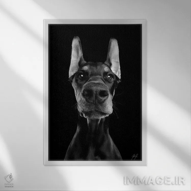 تابلو دکوراتیو چه خبر؟ اثر کاترین فدرر - نمای قابدار سفید