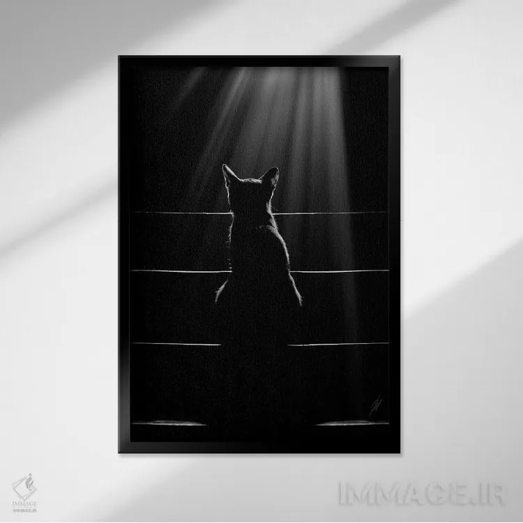 تابلو دکوراتیو زبان گربه ها اثر کاترین فدرر - نمای قابدار مشکی