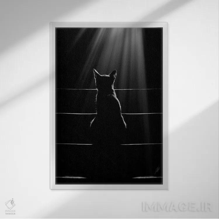 تابلو دکوراتیو زبان گربه ها اثر کاترین فدرر - نمای قابدار سفید