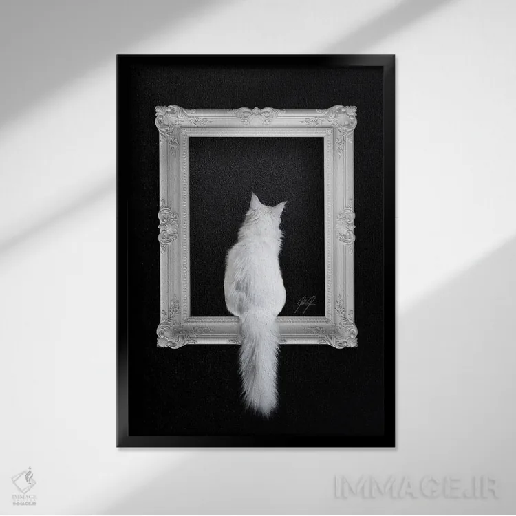 تابلو دکوراتیو گربه در قاب اثر کاترین فدرر - نمای قابدار مشکی