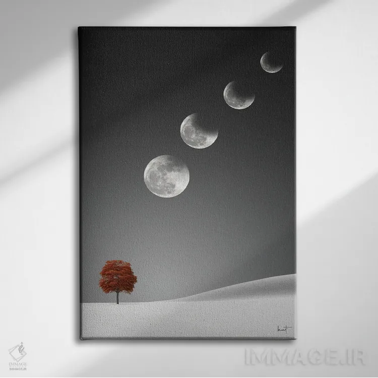 تابلو دکوراتیو خسوف ماه اثر کاترین فدرر - نمای روبهرو روی دیوار