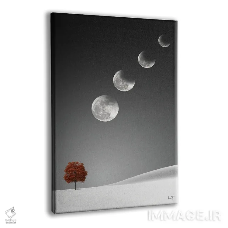 تابلو دکوراتیو خسوف ماه اثر کاترین فدرر - نمای پرسپکتیو محصول