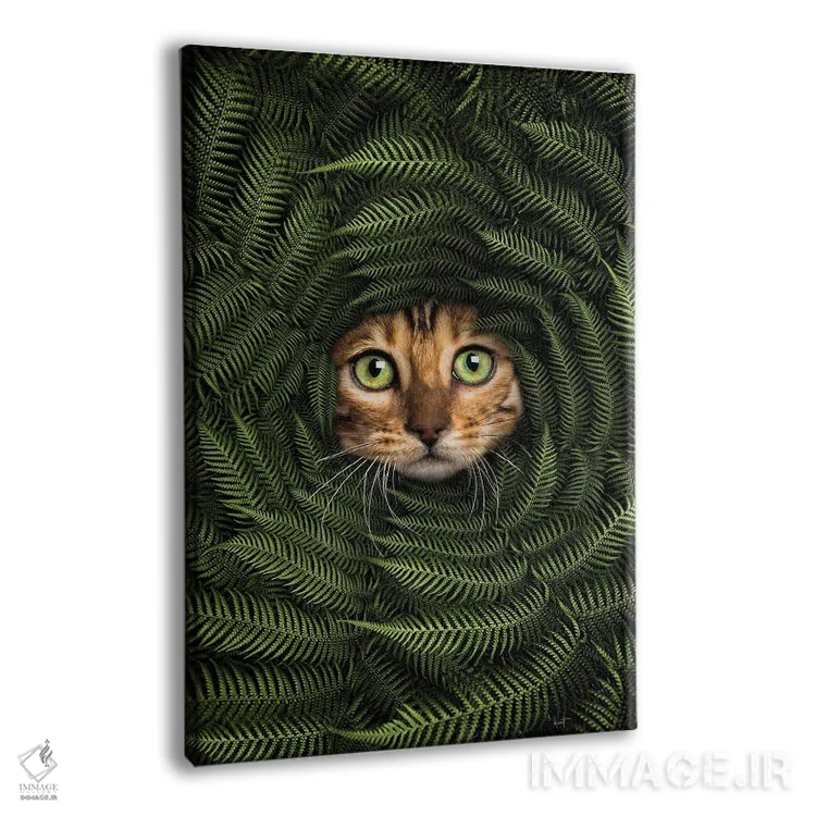 تابلو دکوراتیو گربه در میان سرخس ها اثر کاترین فدرر - نمای پرسپکتیو محصول