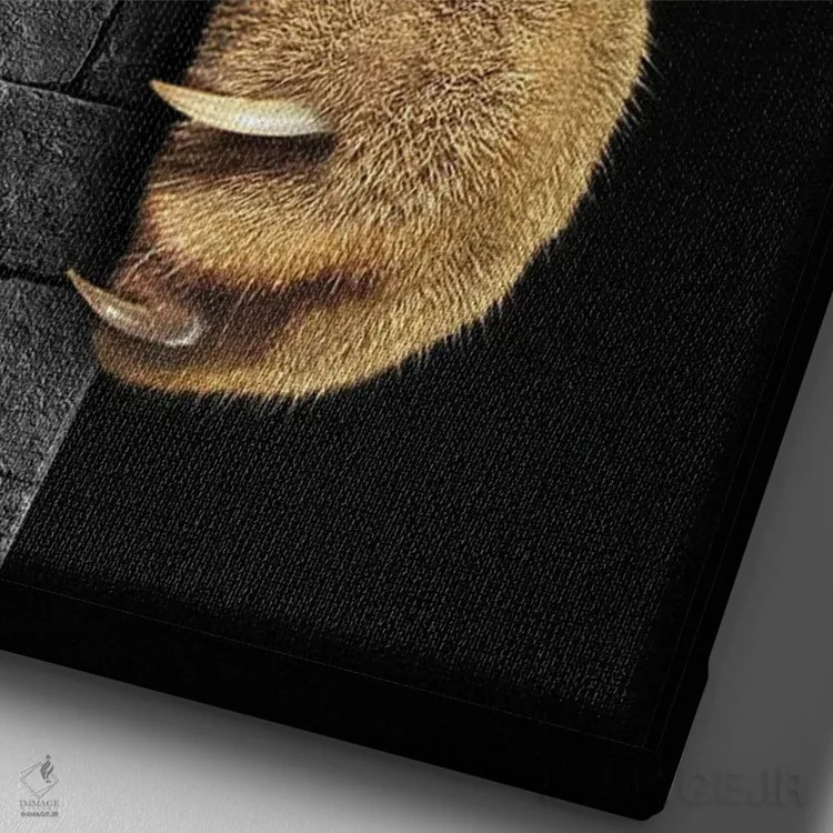 تابلو دکوراتیو خجالتی بودن در برابر کنجکاوی اثر کاترین فدرر - نمای نزدیک بافت بوم