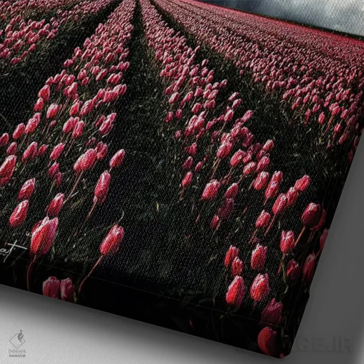 تابلو دکوراتیو لاله هایی که با طوفان می جنگند اثر کاترین فدرر - نمای نزدیک بافت بوم