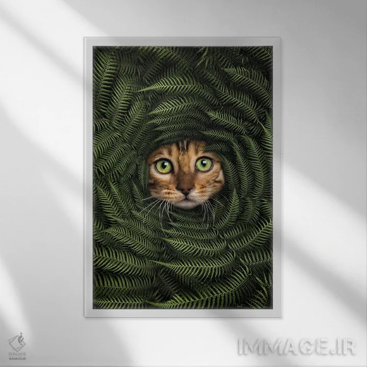 تابلو دکوراتیو گربه در میان سرخس ها اثر کاترین فدرر - نمای قابدار سفید