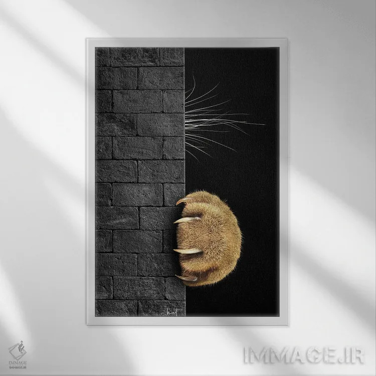 تابلو دکوراتیو خجالتی بودن در برابر کنجکاوی اثر کاترین فدرر - نمای قابدار سفید