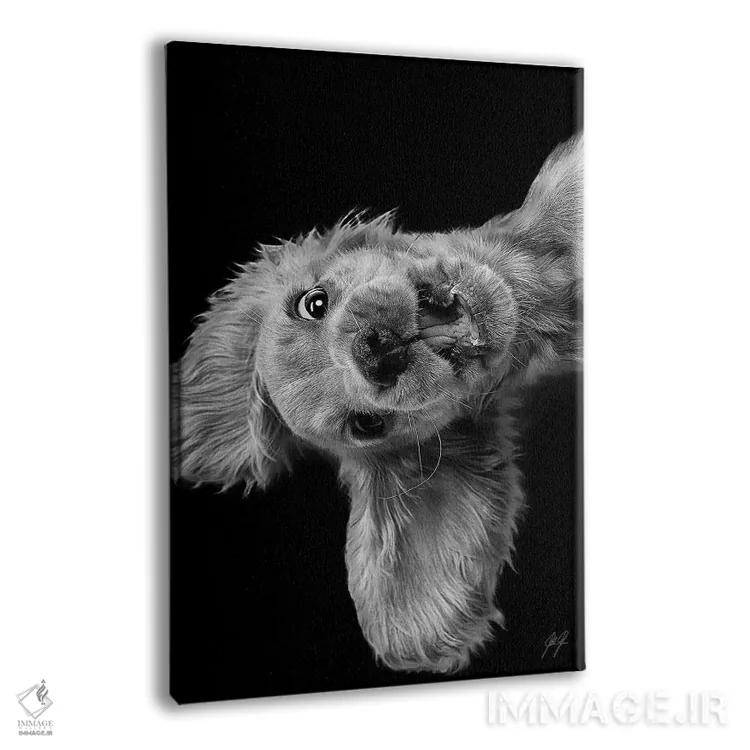 تابلو دکوراتیو جمعه عجیب اثر کاترین فدرر - نمای پرسپکتیو محصول