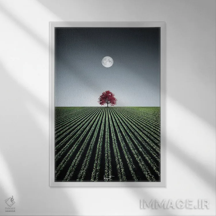 تابلو دکوراتیو افرا فریبنده اثر کاترین فدرر - نمای قابدار سفید