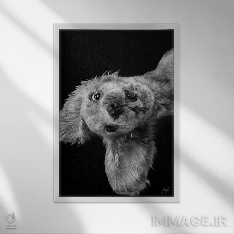 تابلو دکوراتیو جمعه عجیب اثر کاترین فدرر - نمای قابدار سفید