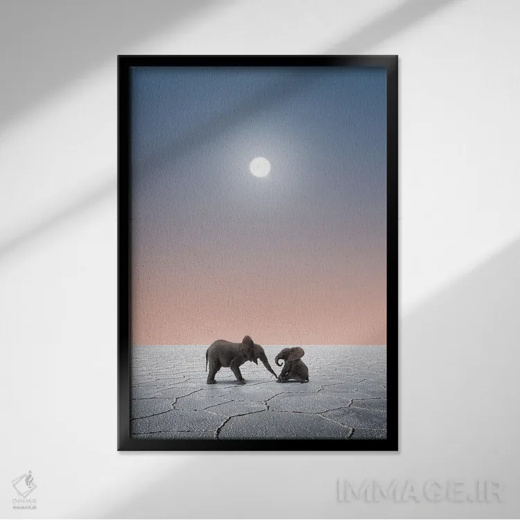 تابلو دکوراتیو فیل ها در صحرا اثر کاترین فدرر - نمای قابدار مشکی