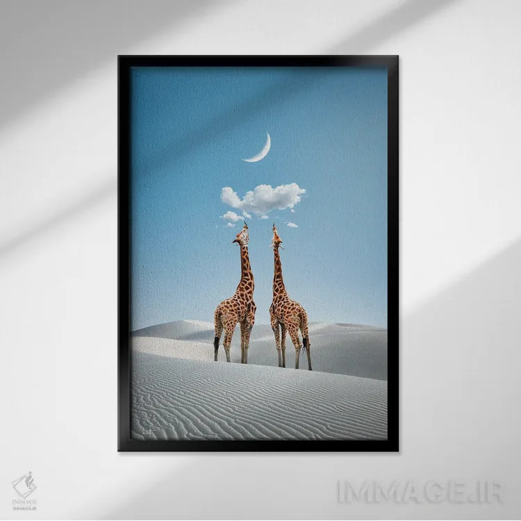 تابلو دکوراتیو شور سفر اثر کاترین فدرر - نمای قابدار مشکی