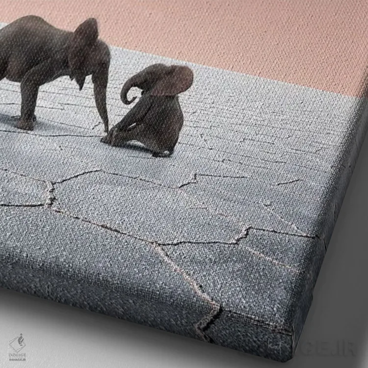 تابلو دکوراتیو فیل ها در صحرا اثر کاترین فدرر - نمای نزدیک بافت بوم