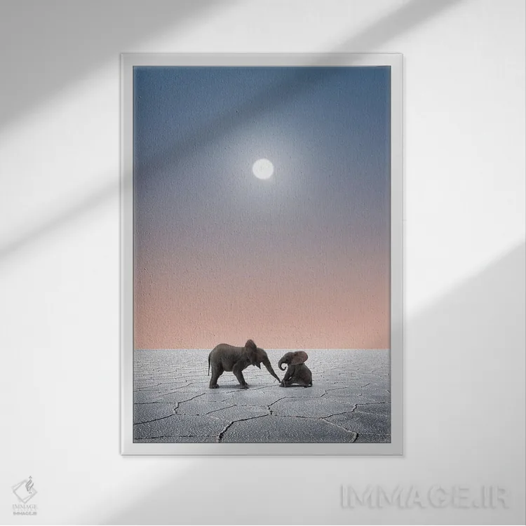 تابلو دکوراتیو فیل ها در صحرا اثر کاترین فدرر - نمای قابدار سفید