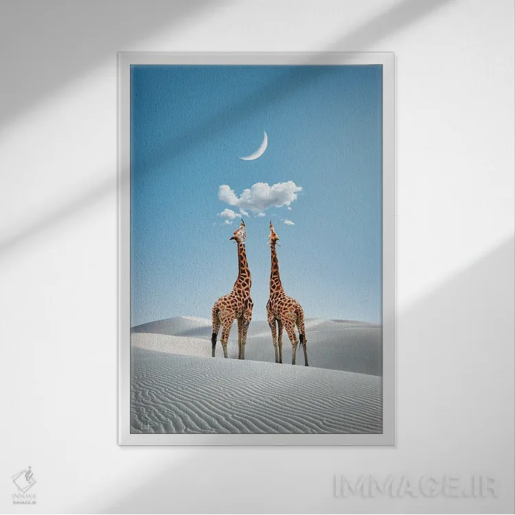 تابلو دکوراتیو شور سفر اثر کاترین فدرر - نمای قابدار سفید