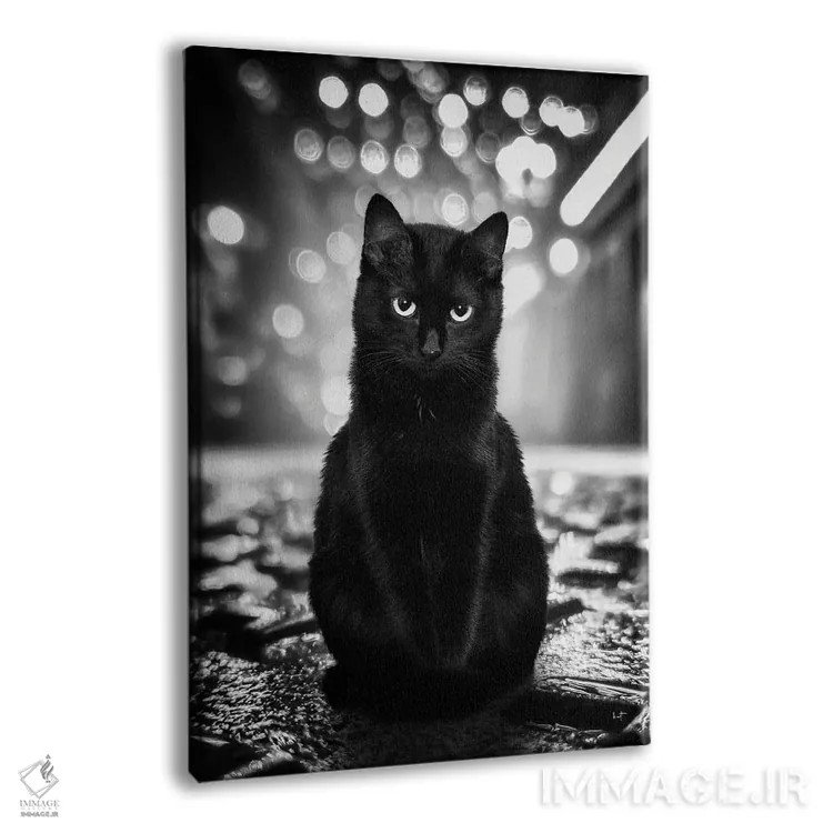 تابلو دکوراتیو تام نگهبان خیابان اثر کاترین فدرر - نمای پرسپکتیو محصول