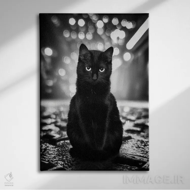 تابلو دکوراتیو تام نگهبان خیابان اثر کاترین فدرر - نمای روبهرو روی دیوار