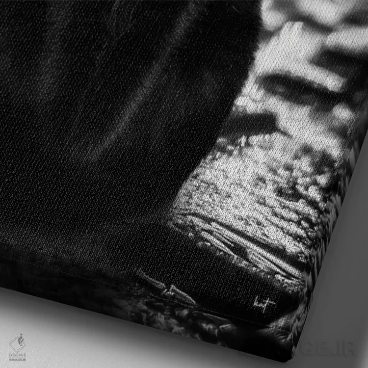 تابلو دکوراتیو تام نگهبان خیابان اثر کاترین فدرر - نمای نزدیک بافت بوم