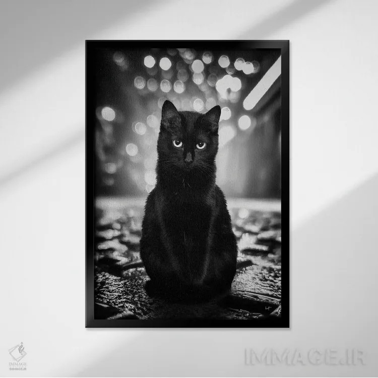 تابلو دکوراتیو تام نگهبان خیابان اثر کاترین فدرر - نمای قابدار مشکی