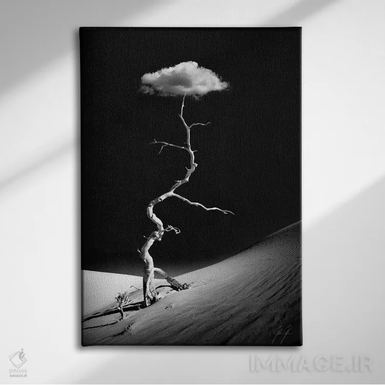 تابلو مینیمال شگفت زده از درخشش اثر کاترین فدرر - نمای روبهرو روی دیوار