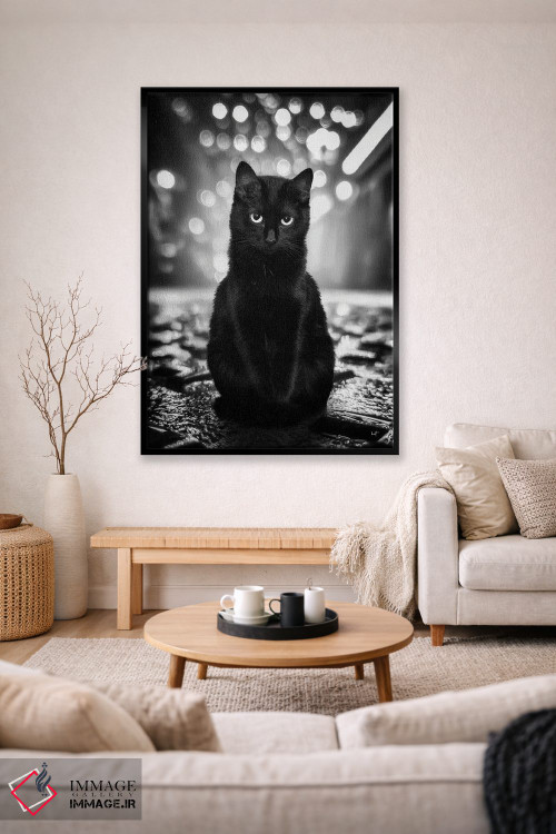 تابلو دکوراتیو تام نگهبان خیابان اثر کاترین فدرر - D1B