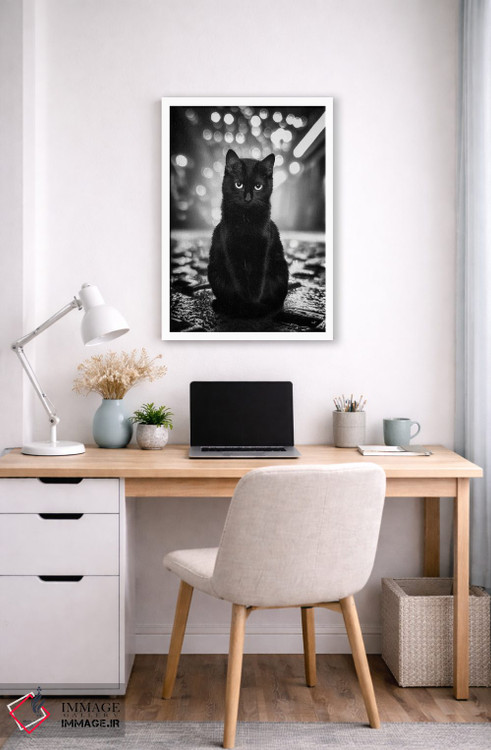 تابلو دکوراتیو تام نگهبان خیابان اثر کاترین فدرر - D4W