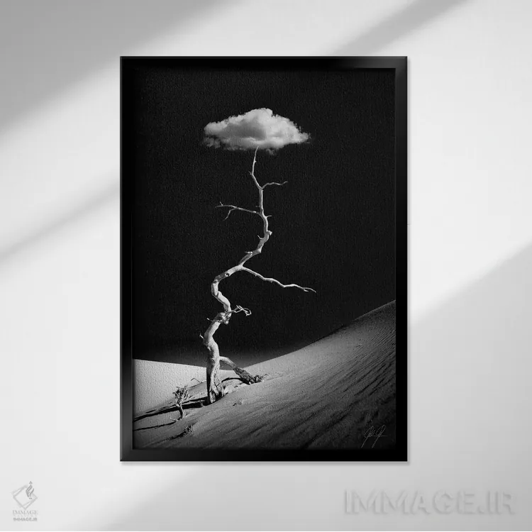 تابلو مینیمال شگفت زده از درخشش اثر کاترین فدرر - نمای قابدار مشکی