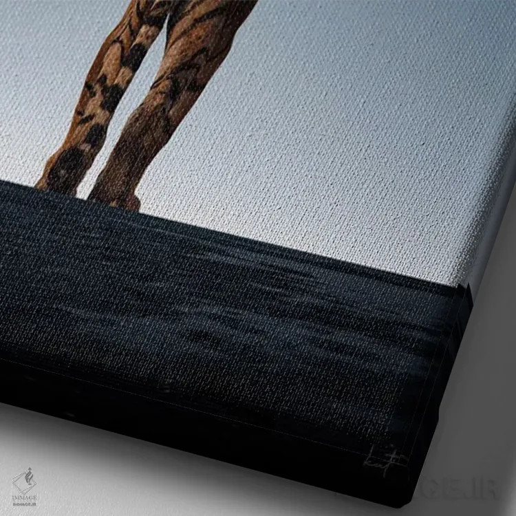 تابلو دکوراتیو تنها اثر کاترین فدرر - نمای نزدیک بافت بوم