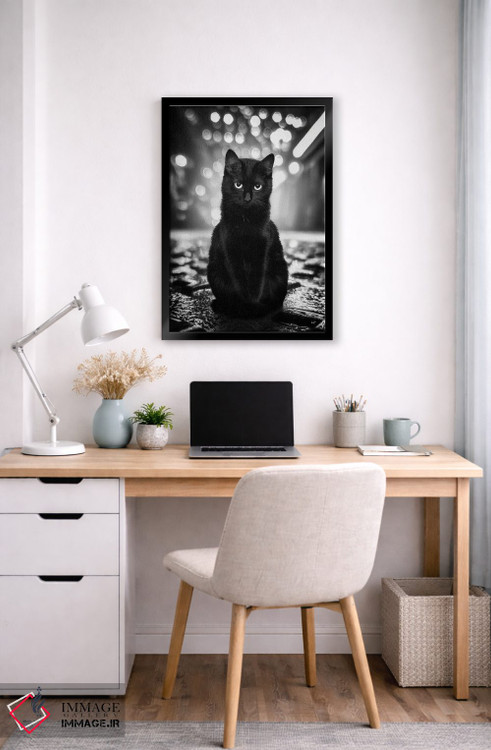 تابلو دکوراتیو تام نگهبان خیابان اثر کاترین فدرر - D6B