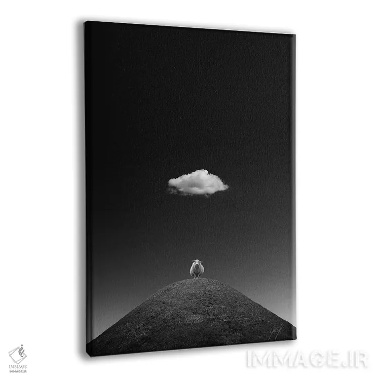 تابلو مینیمال گوسفند درخشان اثر کاترین فدرر - نمای پرسپکتیو محصول