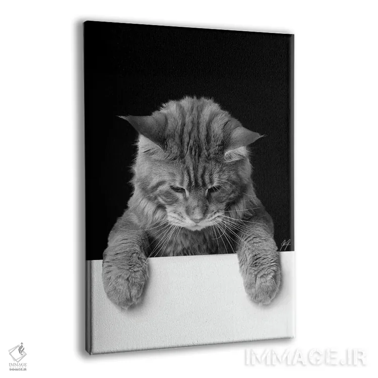 تابلو دکوراتیو گربه بامزه ۱ اثر کاترین فدرر - نمای پرسپکتیو محصول