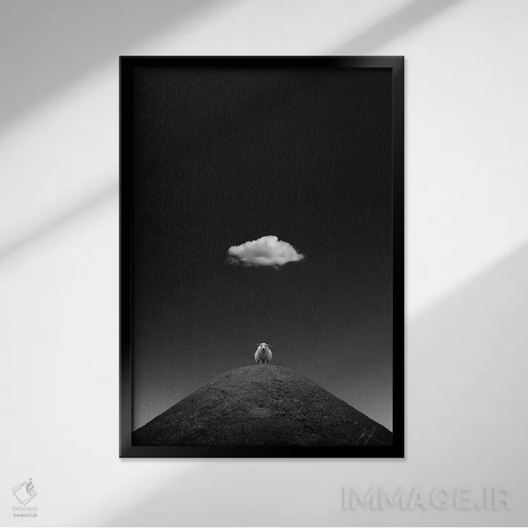 تابلو مینیمال گوسفند درخشان اثر کاترین فدرر - نمای قابدار مشکی