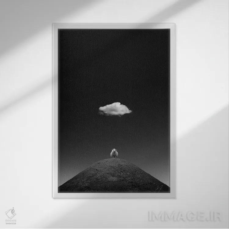 تابلو مینیمال گوسفند درخشان اثر کاترین فدرر - نمای قابدار سفید