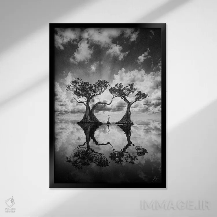 تابلو دکوراتیو درختان مانگرو ۲ اثر کاترین فدرر - نمای قابدار مشکی