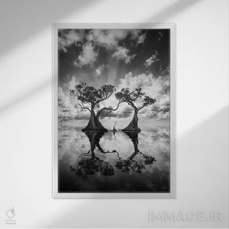 تابلو دکوراتیو درختان مانگرو ۲ اثر کاترین فدرر - نمای قابدار سفید