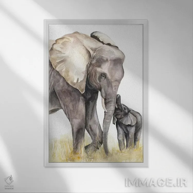 تابلو دکوراتیو فیل ها اثر کایرا بالان - نمای قابدار سفید