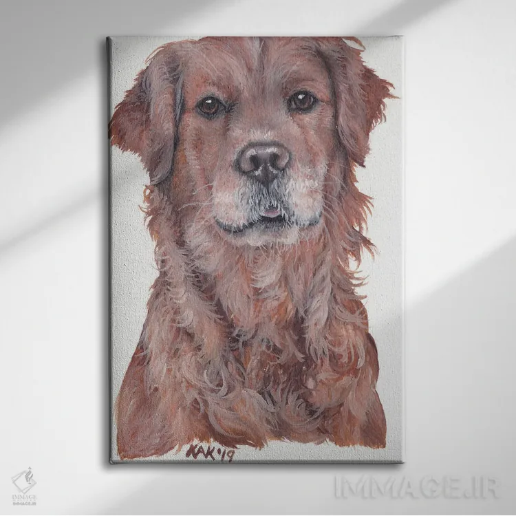 تابلو دکوراتیو سگ گلدن رتریور اثر هنر و طراحی KAK - نمای روبهرو روی دیوار