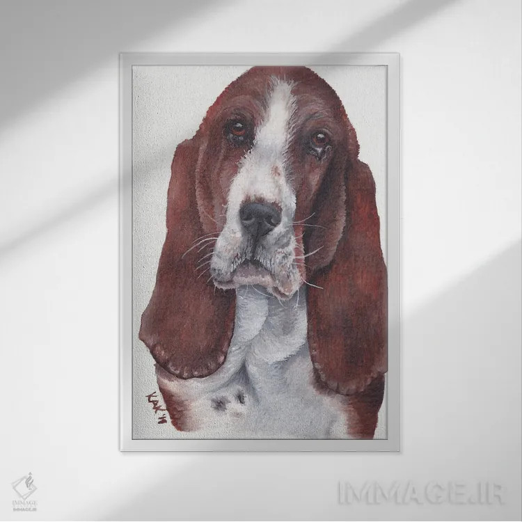 تابلو دکوراتیو سگ باست هاند اثر هنر و طراحی KAK - نمای قابدار سفید